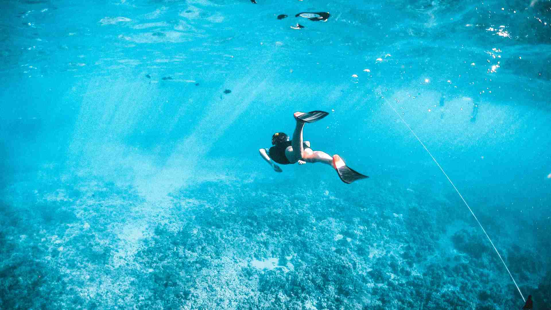 Watamu Marine Park